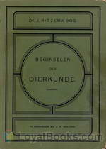 Beginselen der dierkunde by J. Ritzema Bos