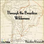 Through the Brazilian Wilderness by Theodore Roosevelt